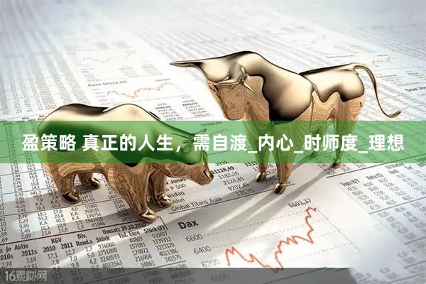 盈策略 真正的人生，需自渡_内心_时师度_理想