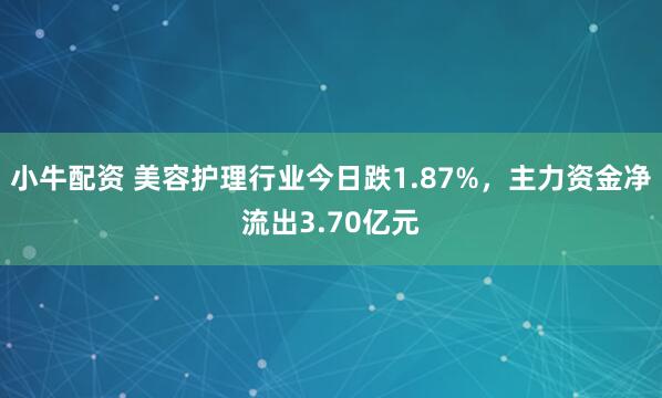小牛配资 美容护理行业今日跌1.87%，主力资金净流出3.70亿元