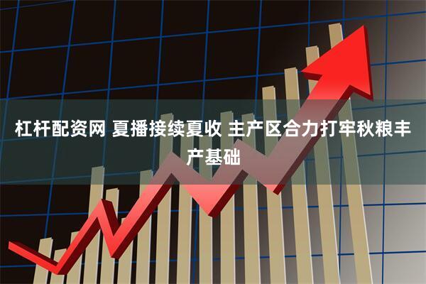 杠杆配资网 夏播接续夏收 主产区合力打牢秋粮丰产基础