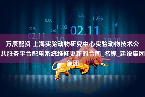 万辰配资 上海实验动物研究中心实验动物技术公共服务平台配电系统维修更新的合同_名称_建设集团