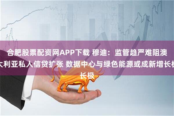 合肥股票配资网APP下载 穆迪：监管趋严难阻澳大利亚私人信贷扩张 数据中心与绿色能源或成新增长极